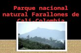 PARQUE NACIONAL NATURAL FARALLONES DE CALI,COLOMBIA