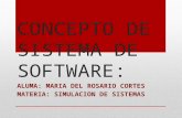 Concepto de sistema de Software