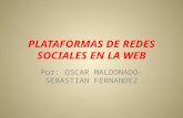Plataformas de redes sociales en la web trabajo