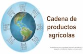 Cadena de productos agrícolas - CAFÉ