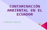 Contaminación ambiental en el ecuador