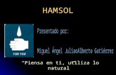 Hamsol - Mercadeo