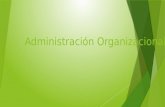 Administración organizacional