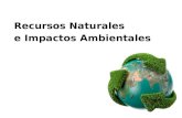 Los recursos naturales y los impactos ambientales