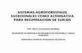 Sistemas agroforestales sucecionales como alternativa para recuperar suelos degradados 2