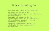 Microbiología historia