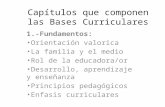 Bc orientacion curricular_2013