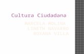 Diapositivas d cultura cyudadna  proyecto final (1)