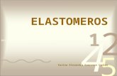 Elastomeros expo