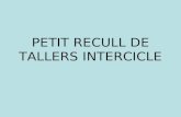 Petit recull de tallers intercicle