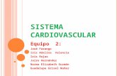 Sistema  cardiovascular
