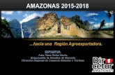 Amazonas 2015 2018