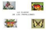 La classe de les papallones