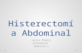 Histerectomía abdominal