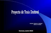 Presentación Proyecto tesis doctoral (Maritbar Araque y Misael Sierra)