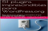 51 plugins imprescindibles WordPress