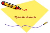 Notación dentaria ingrid diaz