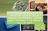 El derecho de autor en la protección jurídica de los programas de ordenador  soporte lógico (software) y los bancos o bases de datos