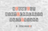 Webquest Biotecnología bacteriana 2º Bachiller