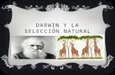 Darwin y la selección natural