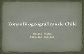 Zonas biogeográficas de Chile