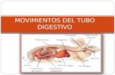 Movimientos del Tubo Digestivo