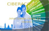 Ciberacoso - Johan Sneider Osorio - 8*3