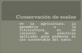 Conservación de suelos