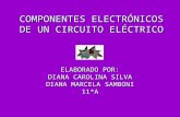 Componentes  electrónicos  de un circuito eléctrico