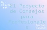 El Proyecto De Consejos Para Profesionales10