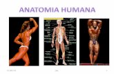 Anatomia Humana Nueva
