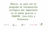 México, el país con el programa de restauración ecológica más importante en el mundo gracias a CONAFOR, Coca-Cola y Pronatura.