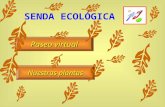 Senda ecológica Punta Galea