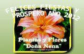 Plantas y Flores Doña Nena
