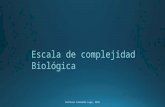 Escalas de complejidad biológicas Profesor Fernando Lugo Z