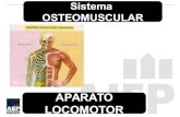 1 clase1 anatomofisiologia general_y_bucodentaria_t