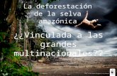 El amazonas y la multinacionales