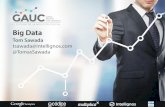 Tom Sawada - Intellignos - Big Data