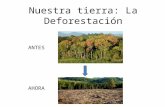 Equipo guerreros ambientales la deforestacion 6ã‚â°b