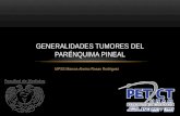 Generalidades: Tumores del parénquima pineal