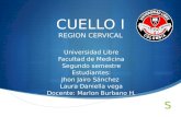 Cuello I - Región Cervical