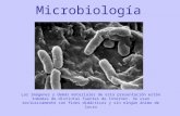 6 virus-bacterias