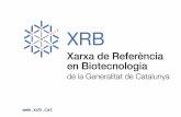 PRESENTACIÓ DE LA XRB (Xrb v7.5)