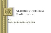 Patofisiologia cardiovascular