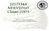 Introduccion sistema  nervioso 2005rcf