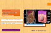 Caso clínico  tumor del estroma gastrointestinal- dr jurado