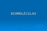 Biomoléculas   agua