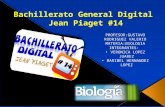 Bachillerato general digital