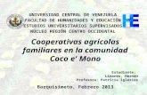 Proyecto de Intervención Coco e' Mono