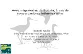 Aves Migratorias de Bolivia, areas de conservacion e influenza aviar